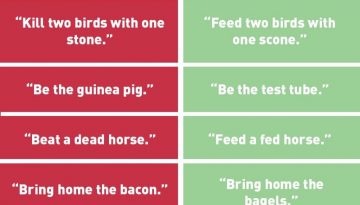 PETA anti-animal language